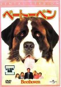 スシ王子! DVD-BOX〈5枚組〉 Amazon.co.jp: スシ王子! DVD-BOX : 堂本