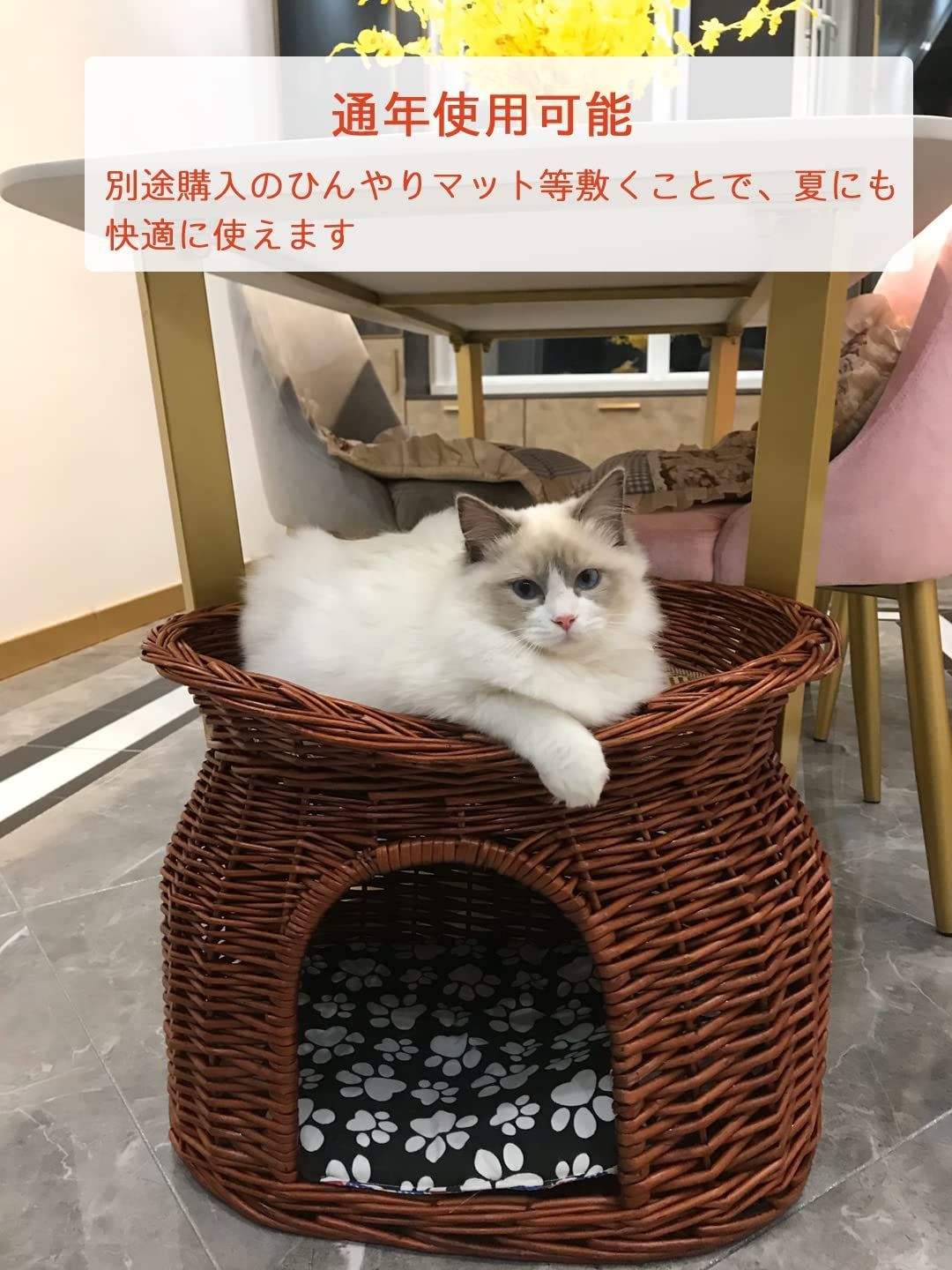 ドーム