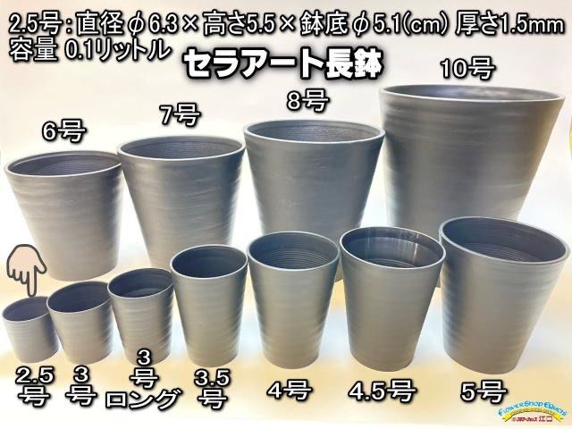 セラアート2.5号(φ6.3cm:2号相当)プラ鉢の黒白混合を選べる60鉢セット＊多肉 植物・塊根植物コーデックス・アガベ・サボテン・盆栽・観葉・ハオルチア・アデニウム・パキポディウム・実生＠フラワーショップ江口 - メルカリ