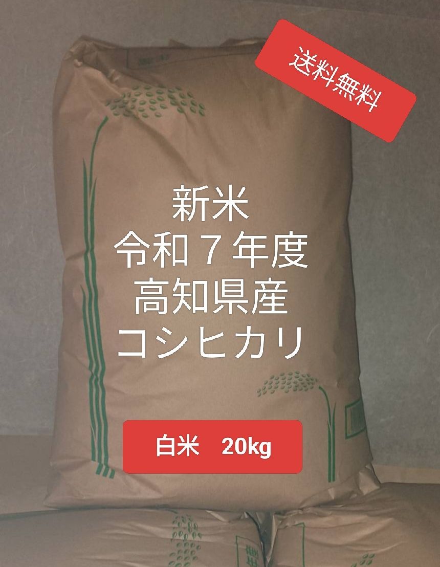 新米 令和７年度 高知県産 コシヒカリ 白米20kg