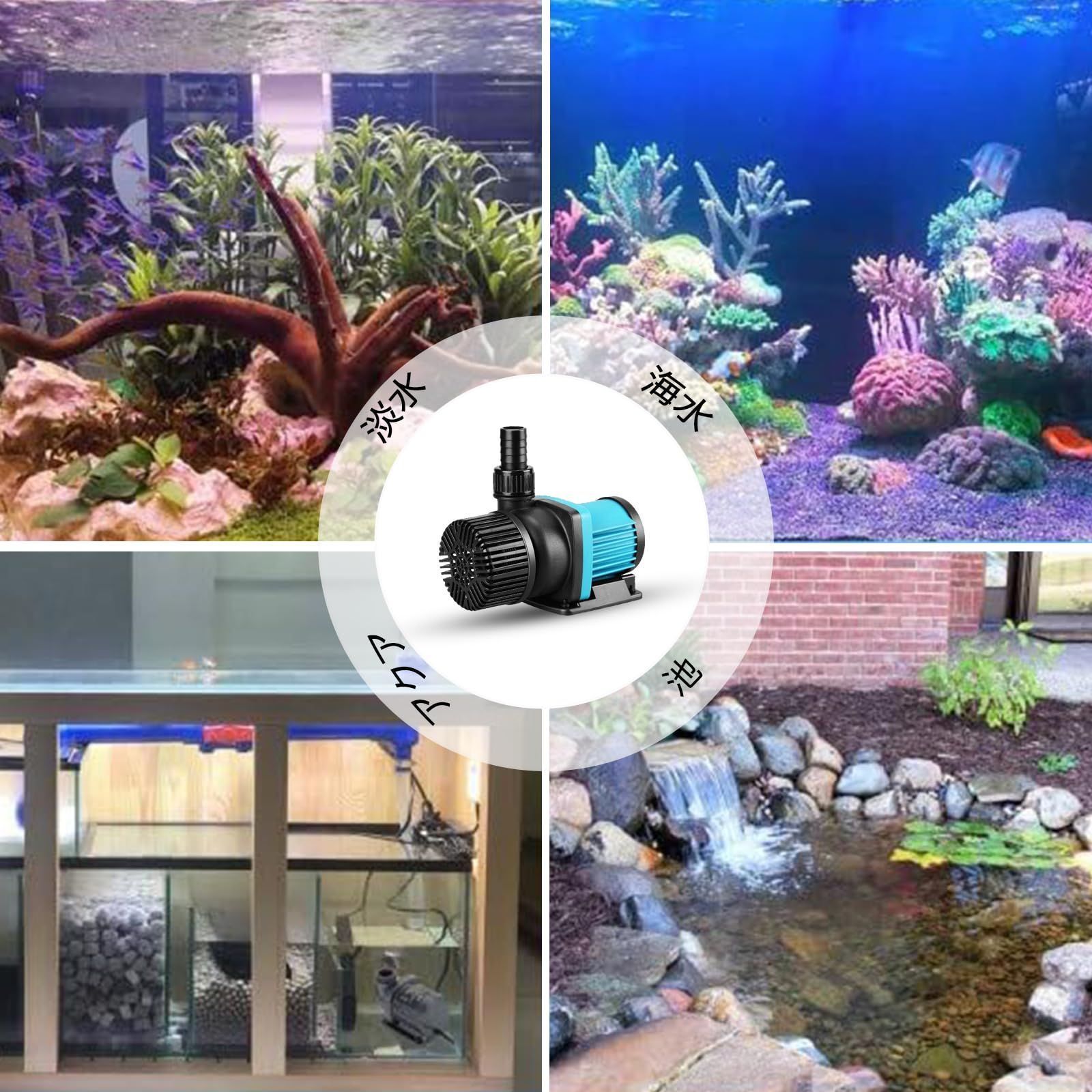 水族館 エルエンスタジオ