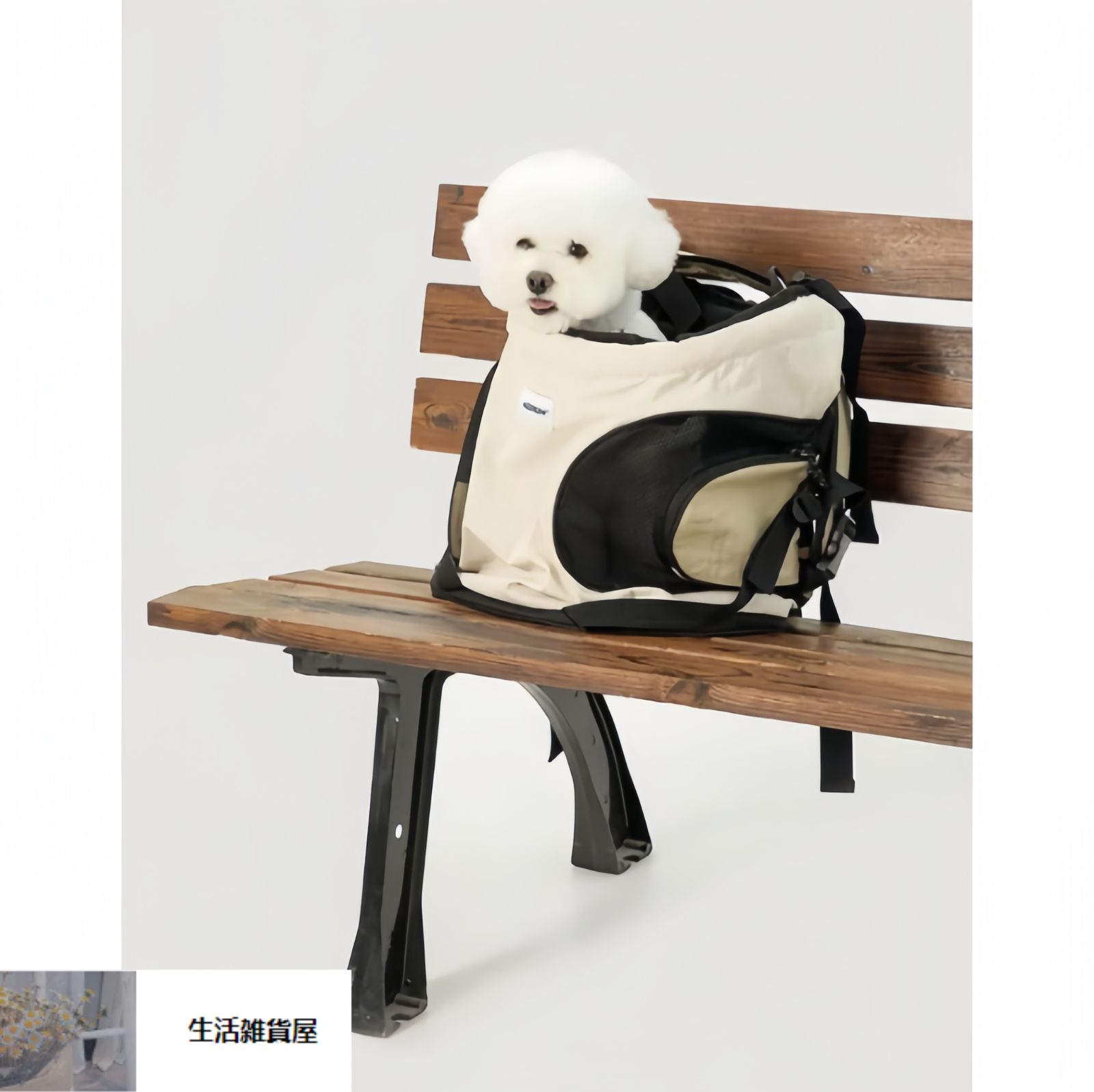 おしゃれ 小型犬