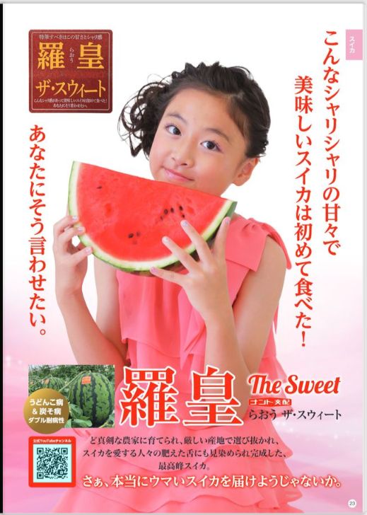熊本県産 羅王ザ・スウィート 大玉スイカ 10kg以上 2玉セット 熊本産 羅皇ザ・スウィート10kg 秀品 大玉すいか - メルカリ