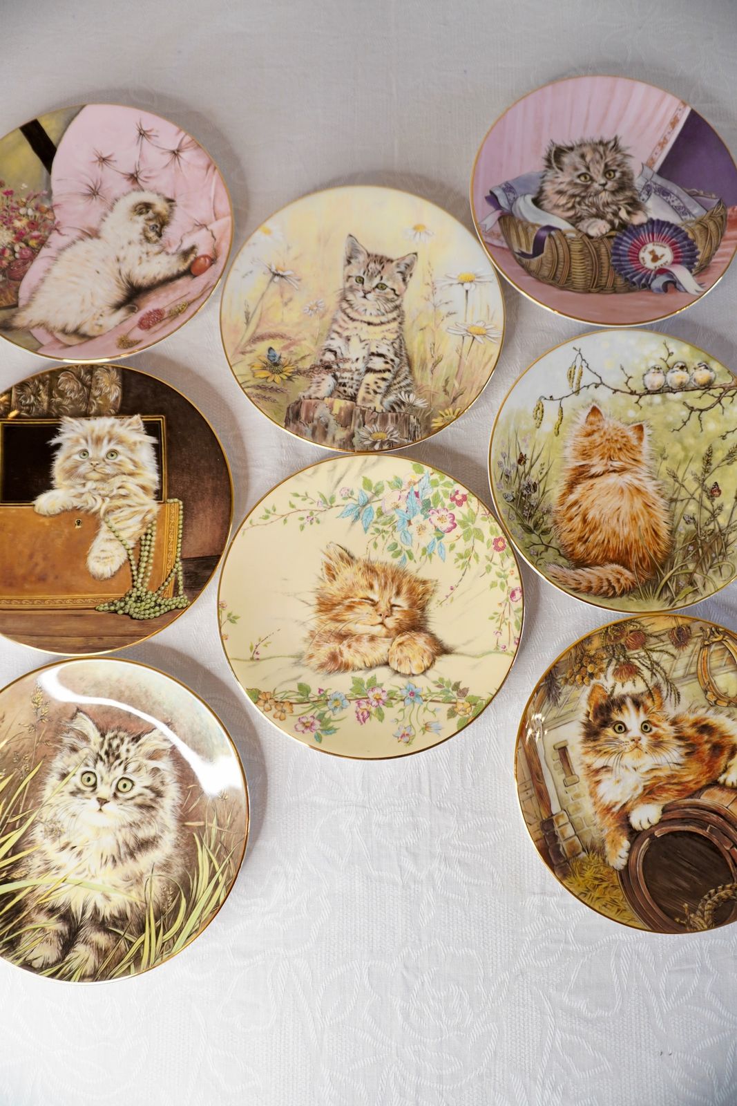  Worcester ロイヤルウースター 絵皿 猫 犬 プレートセット ロイヤル・ウースター コレクション Worcester ロイヤルウースター 絵