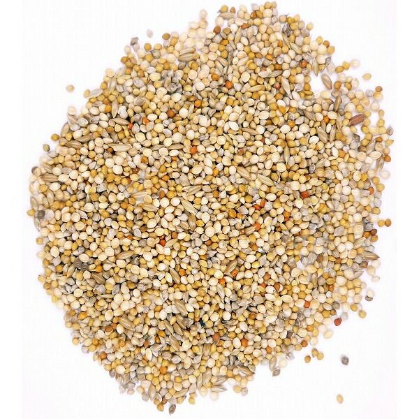 まとめ買い ペットプロ 小鳥のごはん皮付 2Kg 鳥用フード ×5セット