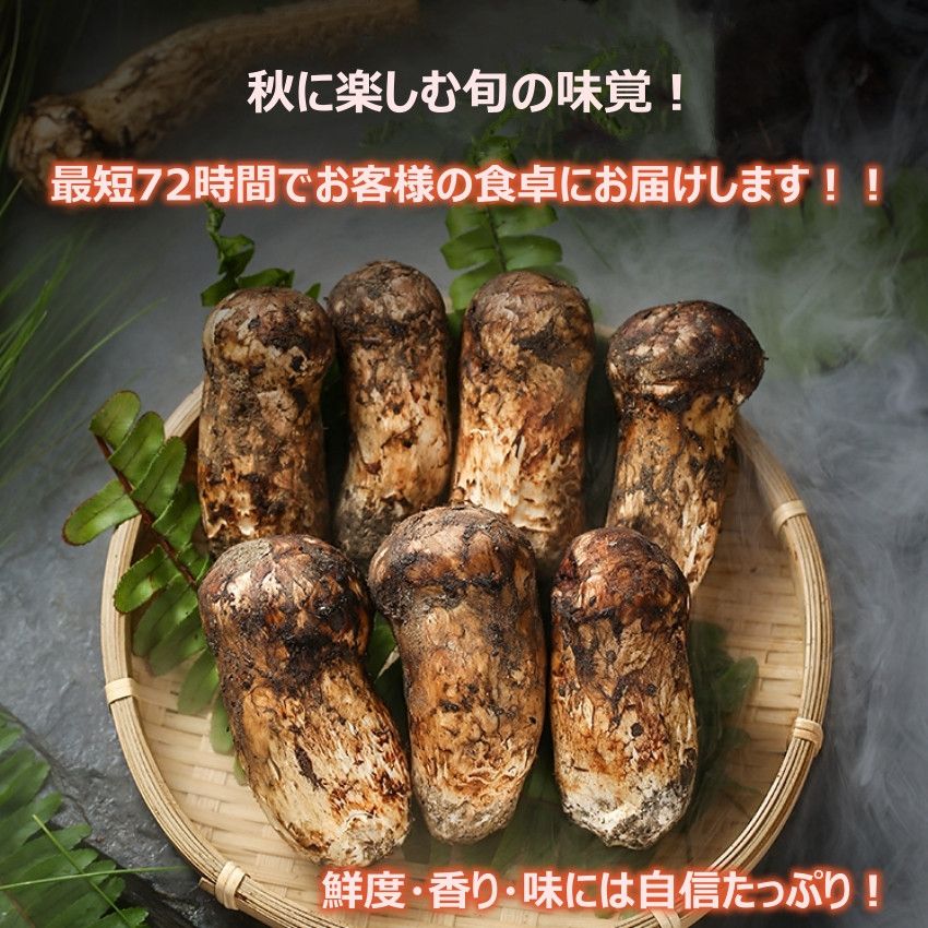 旬！松茸 1kg 箱売り 旬！松茸 箱売り1kg 旬！松茸 1kg 箱売り 旬！松茸 1kg 箱売り 国産