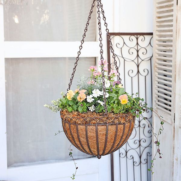 現品販売 花寄せ植え フリルパンジー＆ネメシア＆ローダンセマム 吊り