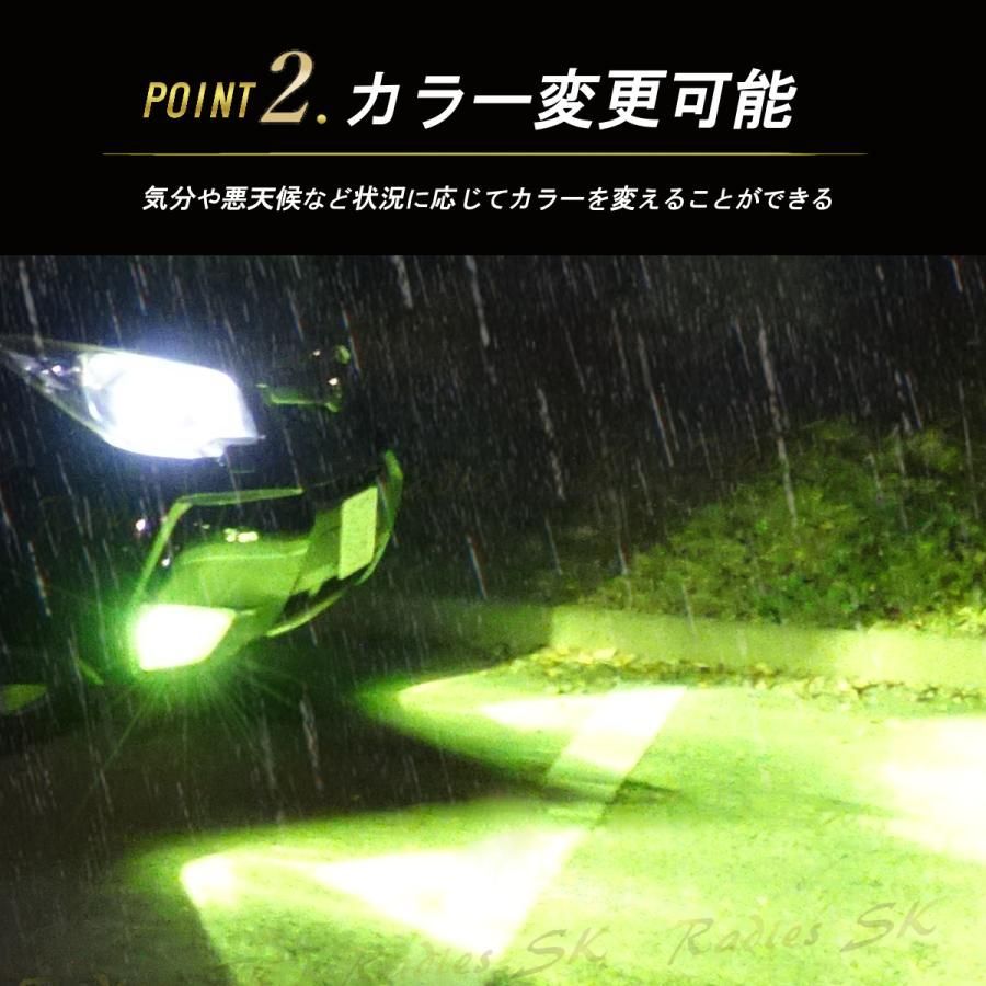 ライムイエロー ホワイト