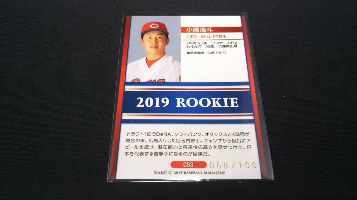 BBM2009 REP 広島 岩本貴裕 縦直筆サイン25枚限定 BBM2009 REP 広島 岩本貴裕 縦直筆サイン25枚限定