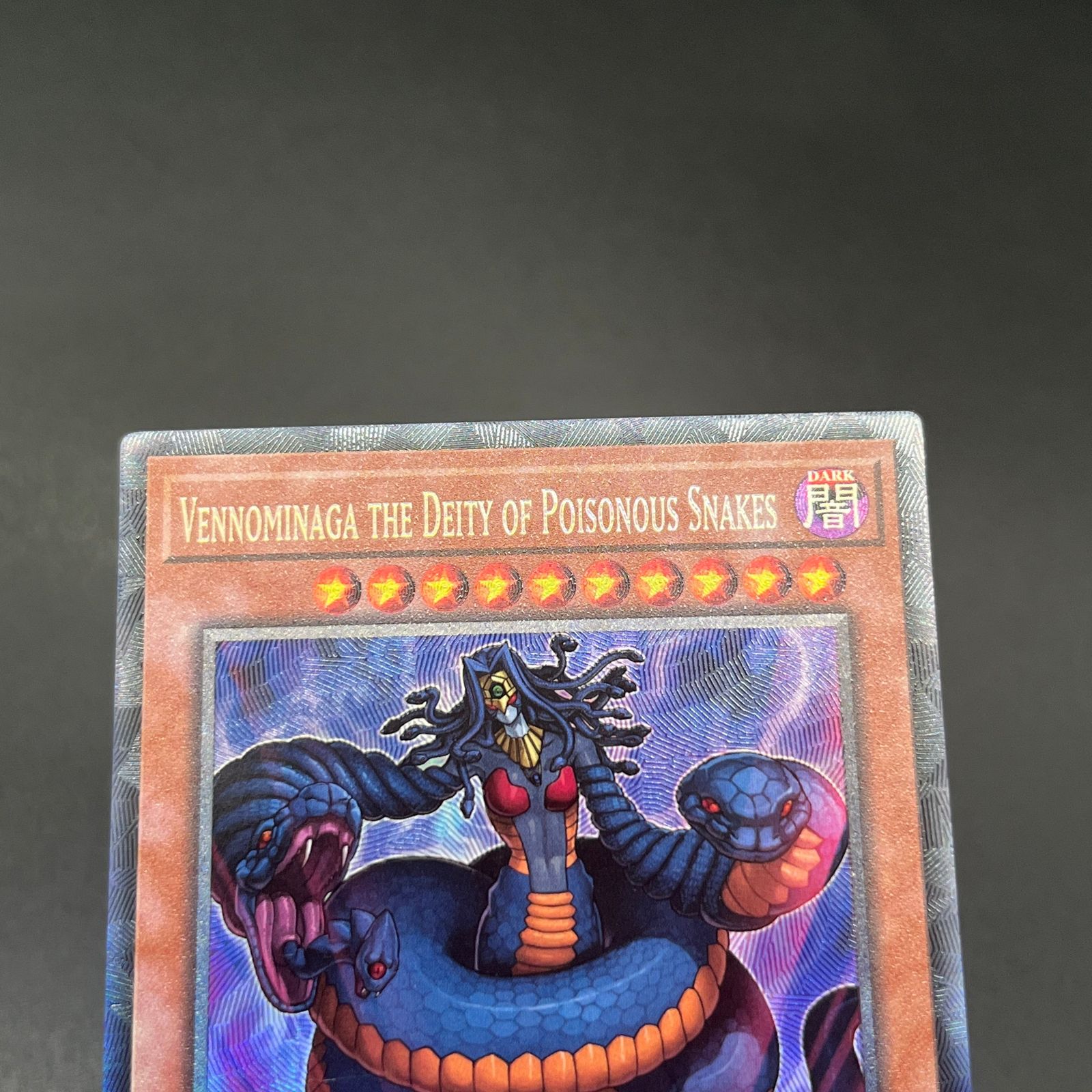 遊戯王 毒蛇神ヴェノミナーガ 毒蛇王ヴェノミン 英語版 1st