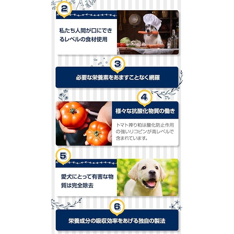 アーテミス