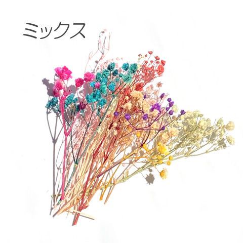 ドライフラワー カスミソウ かすみ草 色別 アソート レジン 封入