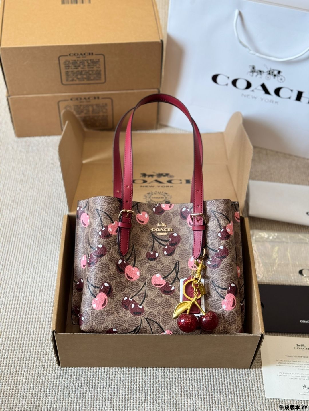 今日 Coach Mollie25 トートバッグ 在庫 の な価格です