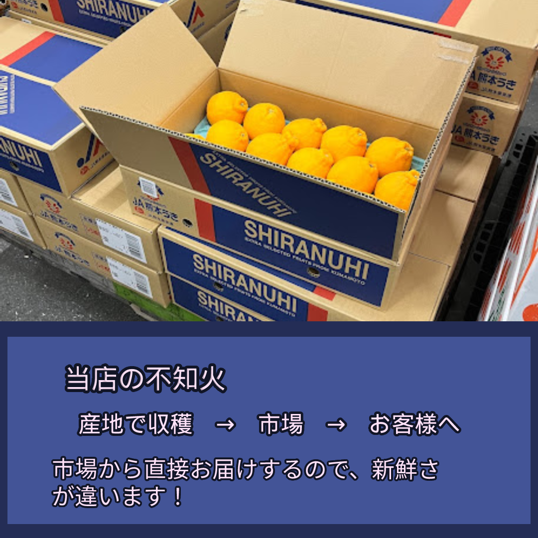 【数量限定品】熊本県産　不知火　5kg（18～20玉）優品　しらぬい-2