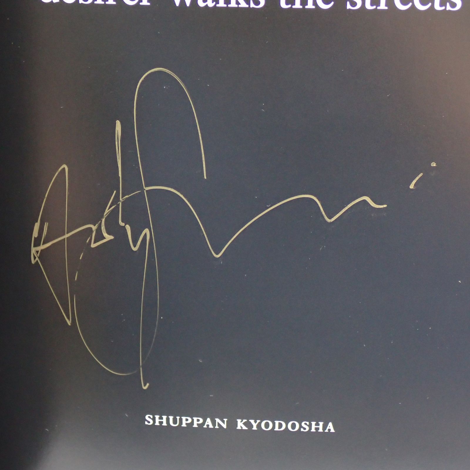 Andy Summers アンディ・サマーズ ポリス Desirer Walks the