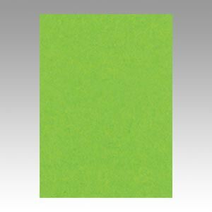 （まとめ） 色画用紙 文運堂 ニューカラーＲ 濃い黄緑 4NCR-238 4954022642389 1冊【×5セット】