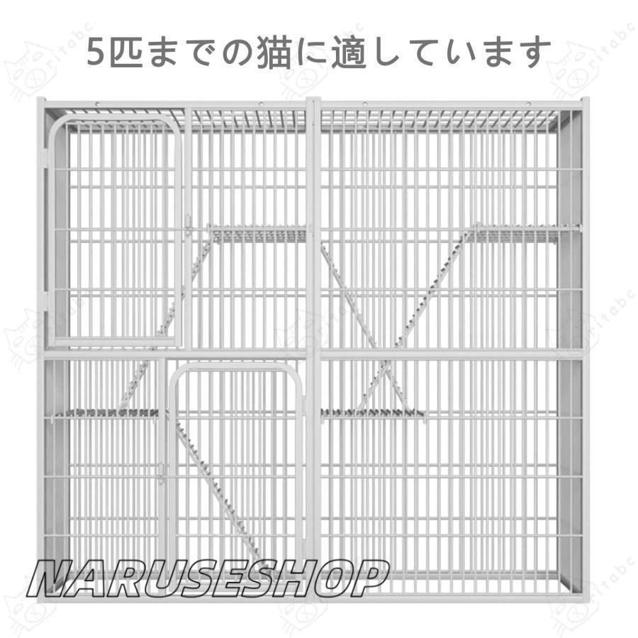 ネコ