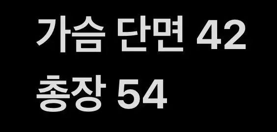 patagonia パタゴニア