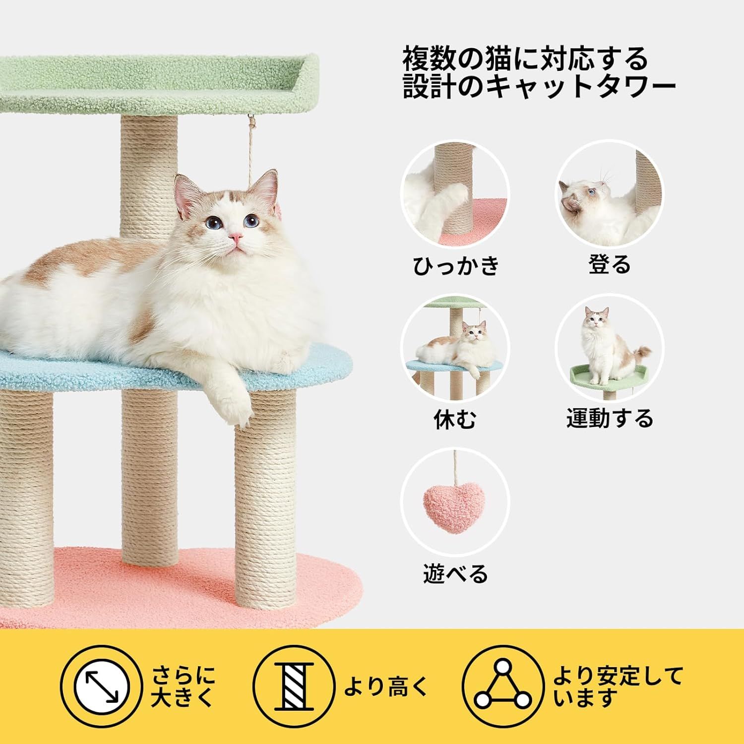 室内猫用