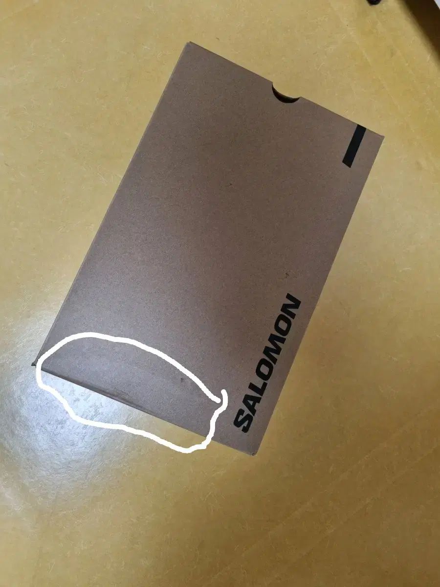 SALOMON サロモン xt6 gtx 280 マーマレード