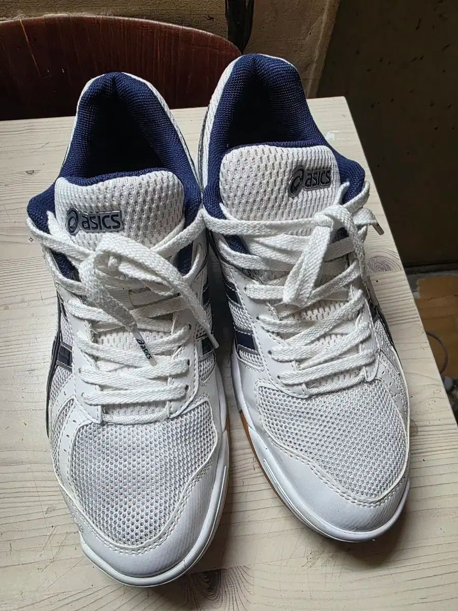 asics アシックス 宝くじ fl5 バレーボール バドミントン スポーツ大学入試 265mm