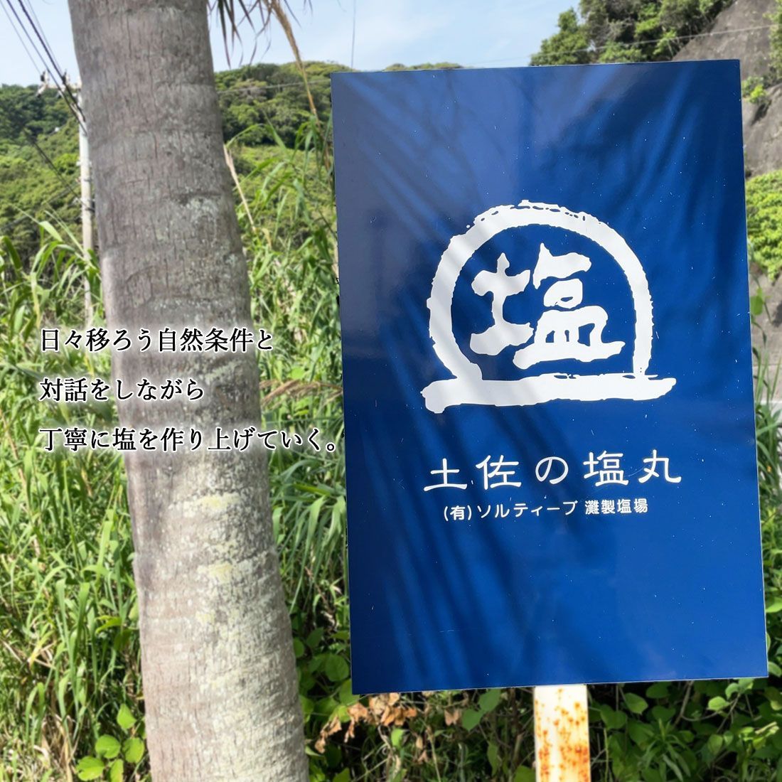 国産