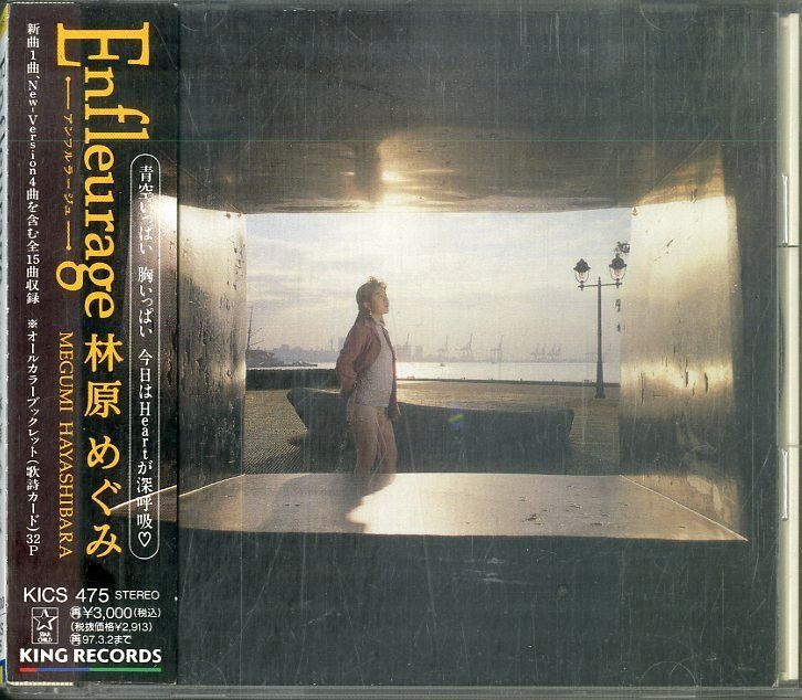 未開封品 林原めぐみ アンフルラージュ 1995年発売盤 - 邦楽