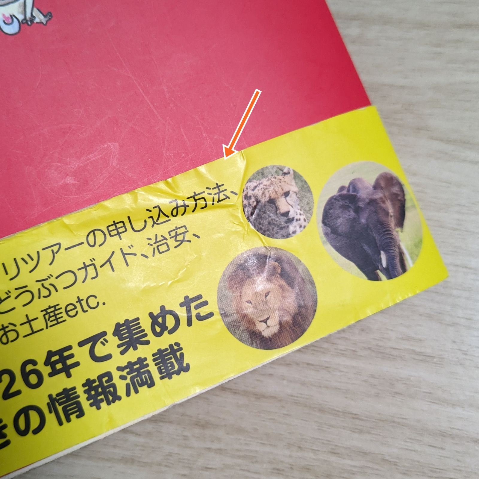 まるまるサファリの本 ver.3 まるまるサファリの本 / 武田 ちょっこ【著】 - 紀伊國屋書店