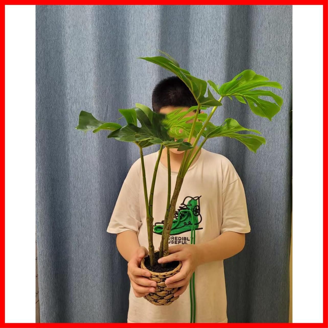 数量 空気清浄 オフィス リビング 屋内 インテリア 鉢は取り外し不可 陶器鉢 モンステラ 簡単世話いらず 大型サイズ 高さ64CM フェイク フェイクグリーン 光触媒 モンステラ 熱帯観葉樹 qinhome人工観葉植物