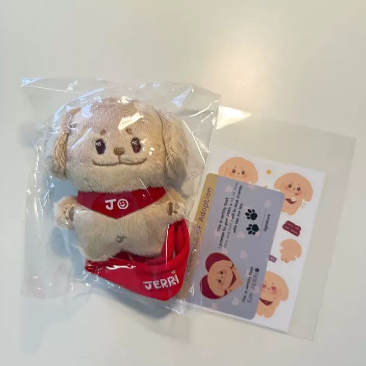 enhypen ジェイク 10cm ぬいぐるみ 新品 マスター - メルカリ