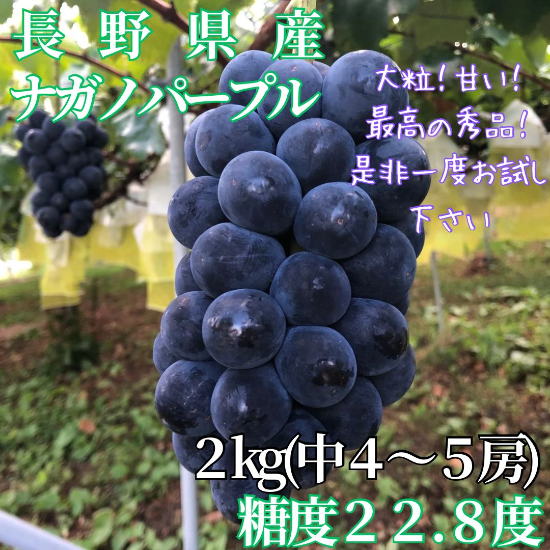 ナガノパープル 長野県 大粒 種無しぶどう 2kg - 健康ショップ MISONO