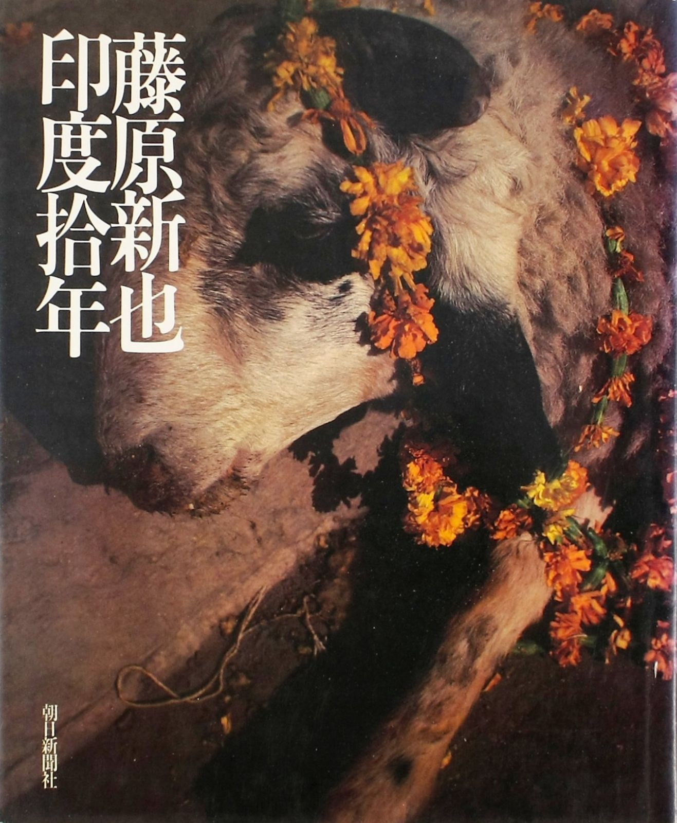 藤原新也印度拾年 1979年