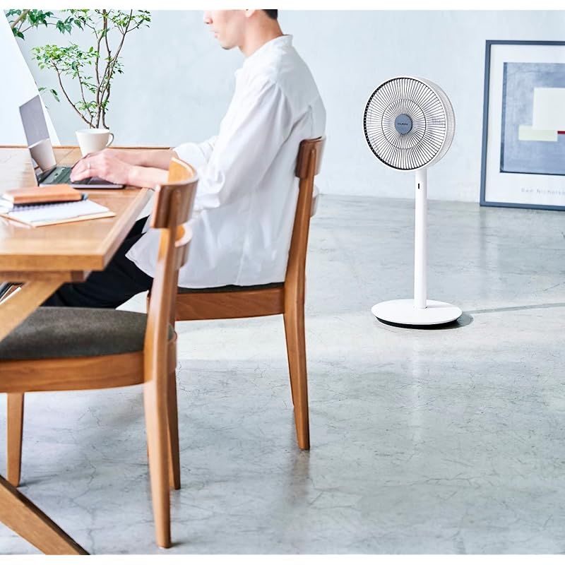 The GreenFan