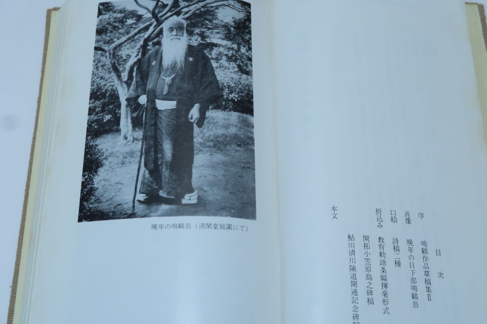 日下部鳴鶴の本2冊/鳴鶴論書三十首 ・鳴鶴作品草稿集2・周代金文の研究