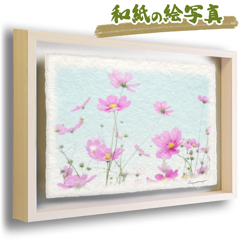 和紙の絵写真 「空に咲き乱れるピンクのコスモス」 立体額縁付き