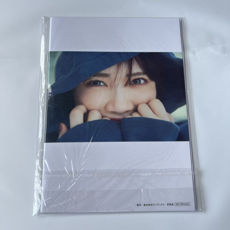 乃木坂46 - 乃木坂46 田村真佑１ｓｔ写真集『恋に落ちた瞬間』アザーカットミニブック　新品 乃木坂46 田村真佑1st写真集『恋に落ちた瞬間』アザーカットミニ