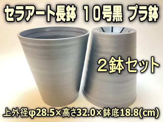 セラアート長鉢10号(尺鉢)黒プラ鉢(陶器風ロング深鉢タイプ) ： 2鉢