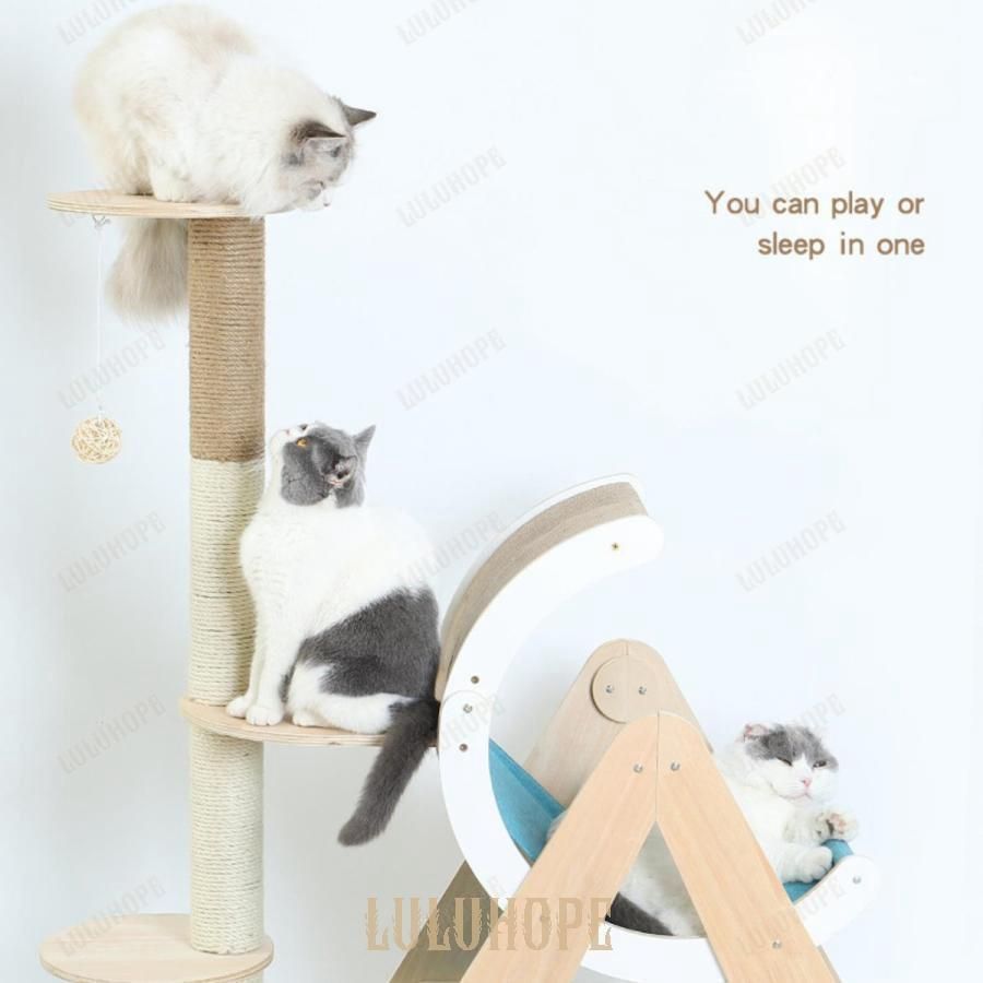大型猫
