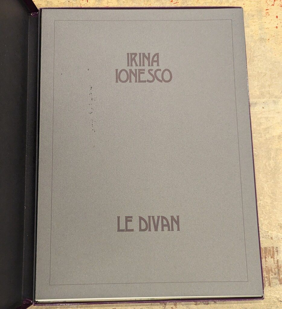 格安，SALE Irina Ionesco PORTFOLIO IRINA IONESCO : LE DIVAN