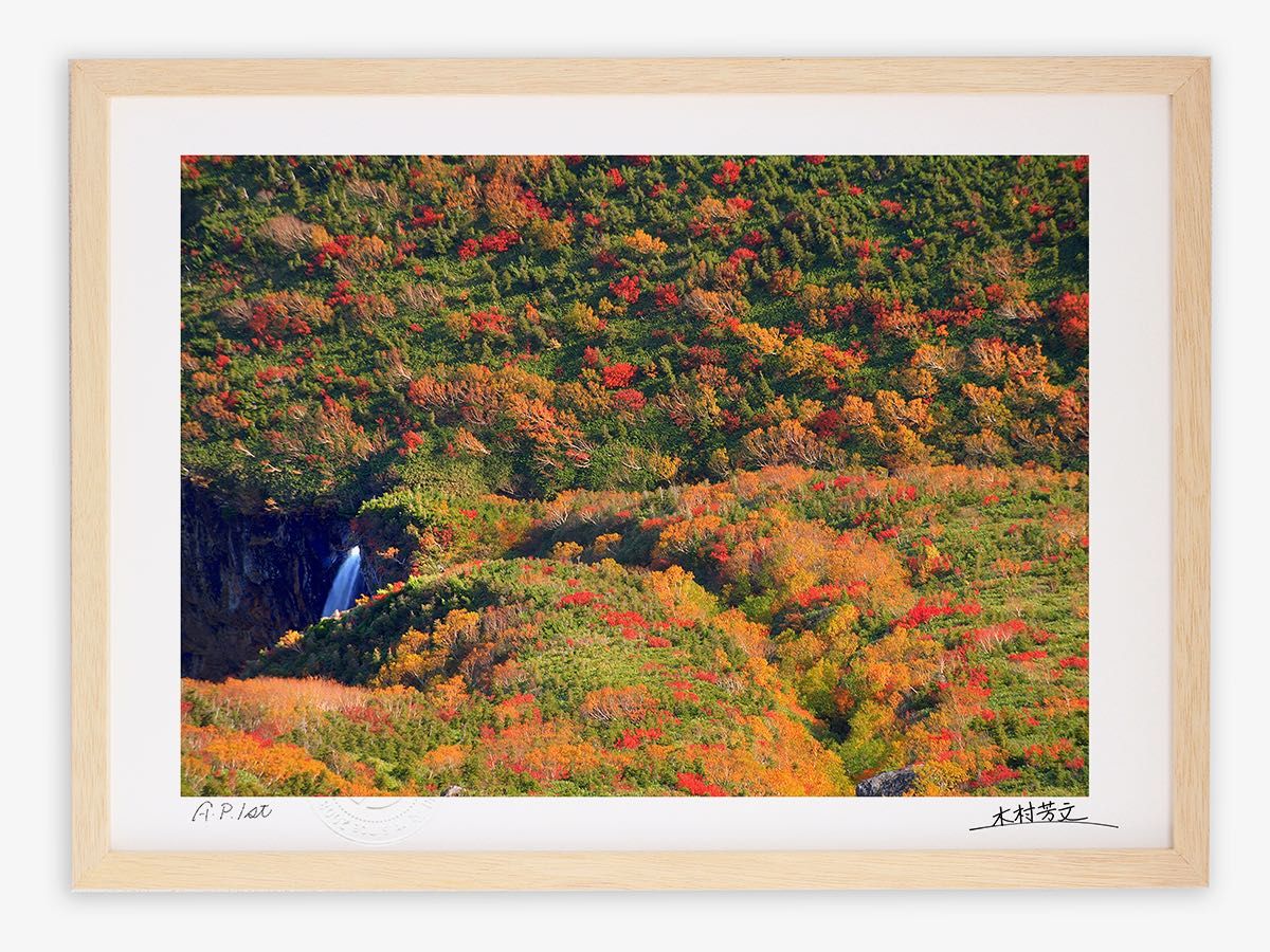 彦根旦雪図】森月城 1004 彦根城 雪景 共箱 掛け軸 肉筆 Yahoo