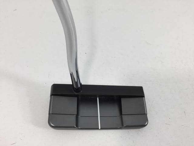 65 ブセファンドラ pygmaea var marble6株まとめ袋 65 ブセファンドラ