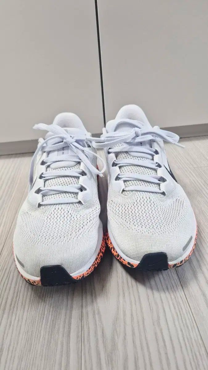 NIKE ナイキ エア ズーム ペガサス 41 240