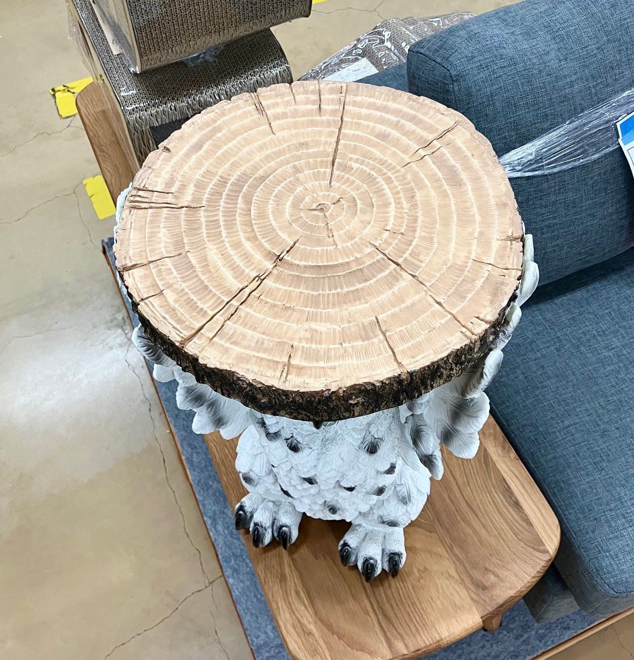 フクロウ ふくろう