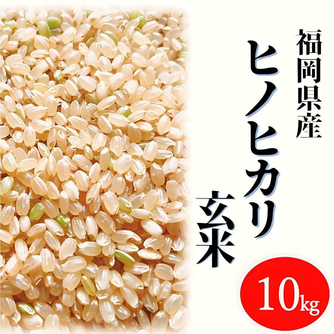ヒノヒカリ 10kg 玄米 6年産 お米 おまけ付き 麦茶 お得なセット