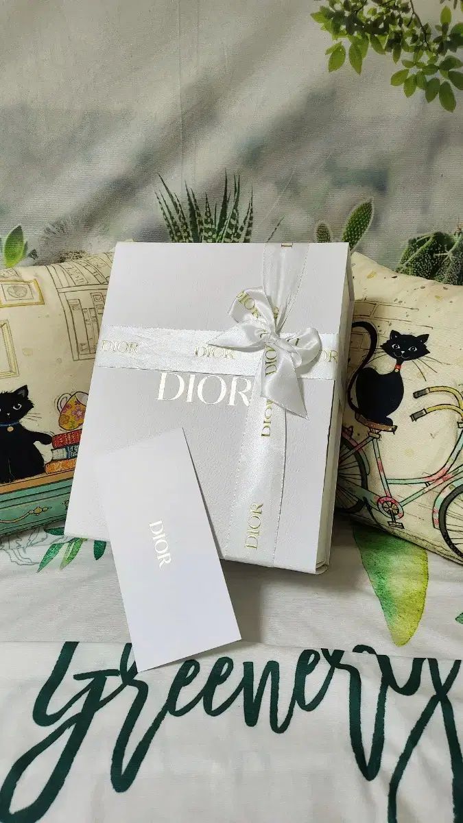 D ー 9 クリスチャン ディオール ラージスーツケースボックス マグネットボックス