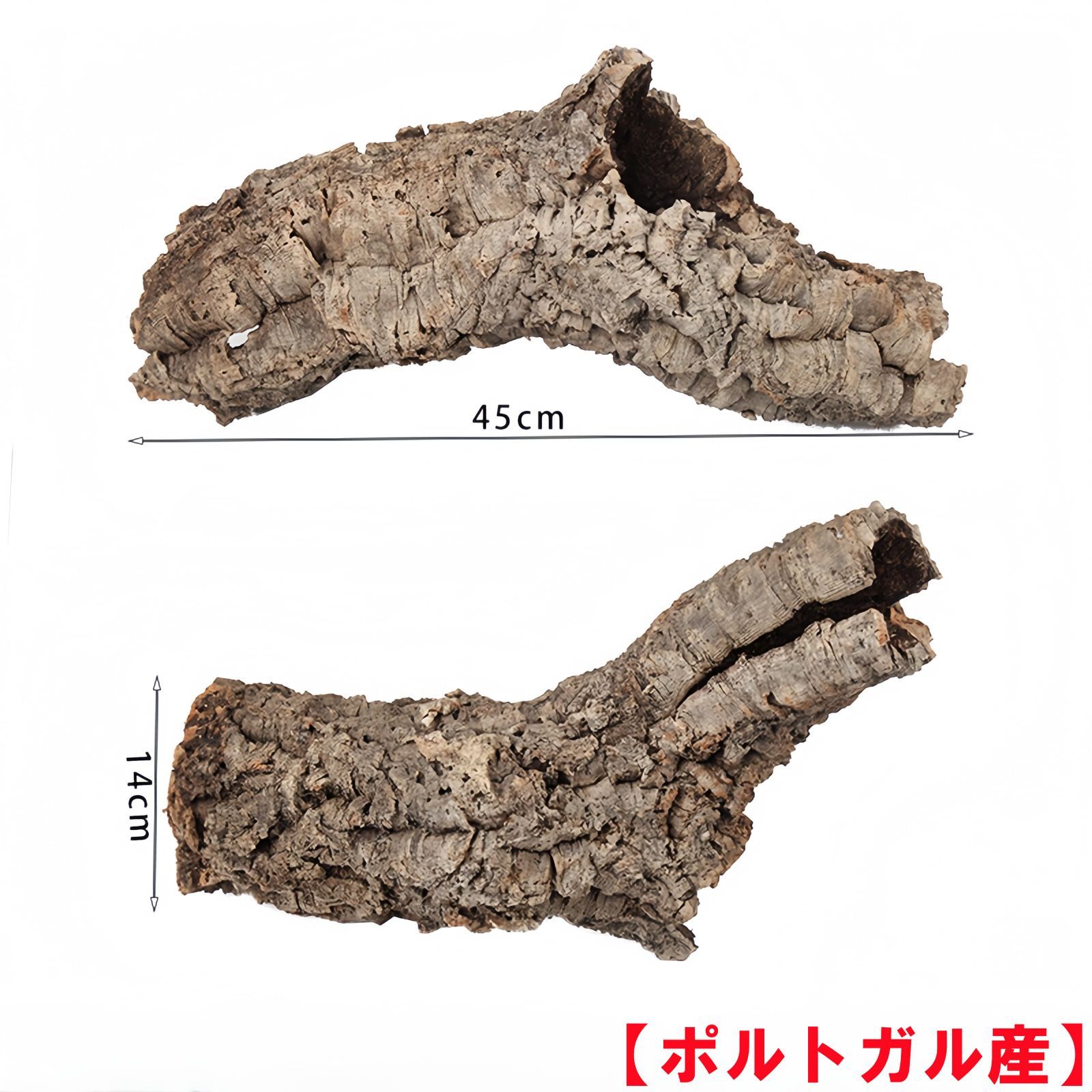D032 ポルトガル産 キャノンコルク コルク樹皮 コルク板 バージンコルク 送料無料 チランジア ビカクシダ 着生ラン 両生類 爬虫類