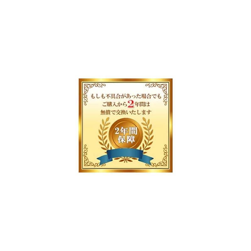 イージーキャストウルトラ 日本語版