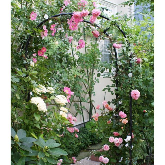 DAIM 第一ビニール 組み立てかんたんフラワーアーチ ブラック W120 ガーデンアーチ 薔薇 バラ 工具不要 つる性植物 クレマチス