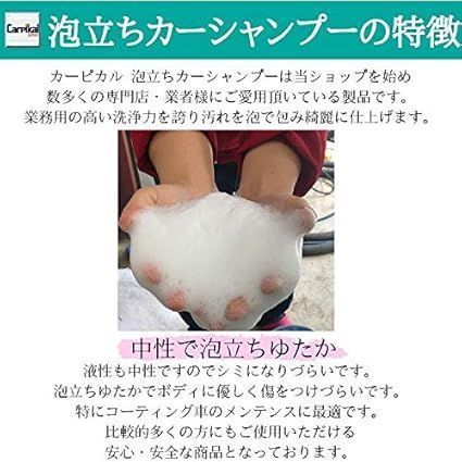 泡立ちカーシャンプー