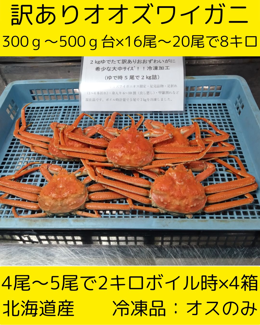 16尾から20尾入で8キロ 特大～大サイズ オオズワイガニ 冷凍便